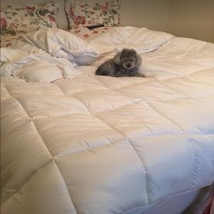 HYPOALERGENIC Queen Bed Set- GENTLY USED FLUFFY